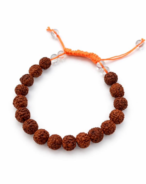 Pulsera ajustable semillas de Rudrashka
