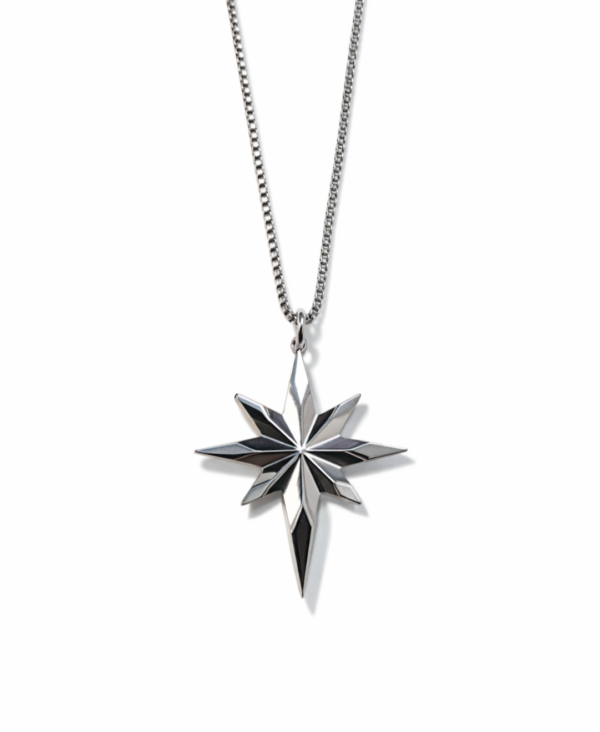 Collar Estrella Guía en acero quirúrgico
